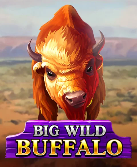 Play Big Wild Buffalo at Dito Bet Casino